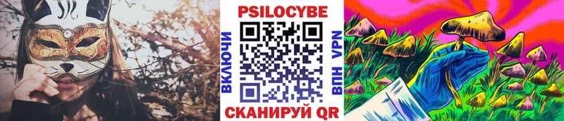mega ONION  нарко площадка наркотические препараты  Псилоцибиновые грибы ЛСД  Давлеканово 